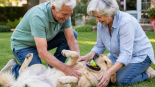 fostering pets in retirement