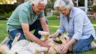 fostering pets in retirement